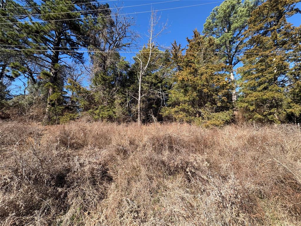 LAKEWAY HARBOR - Land