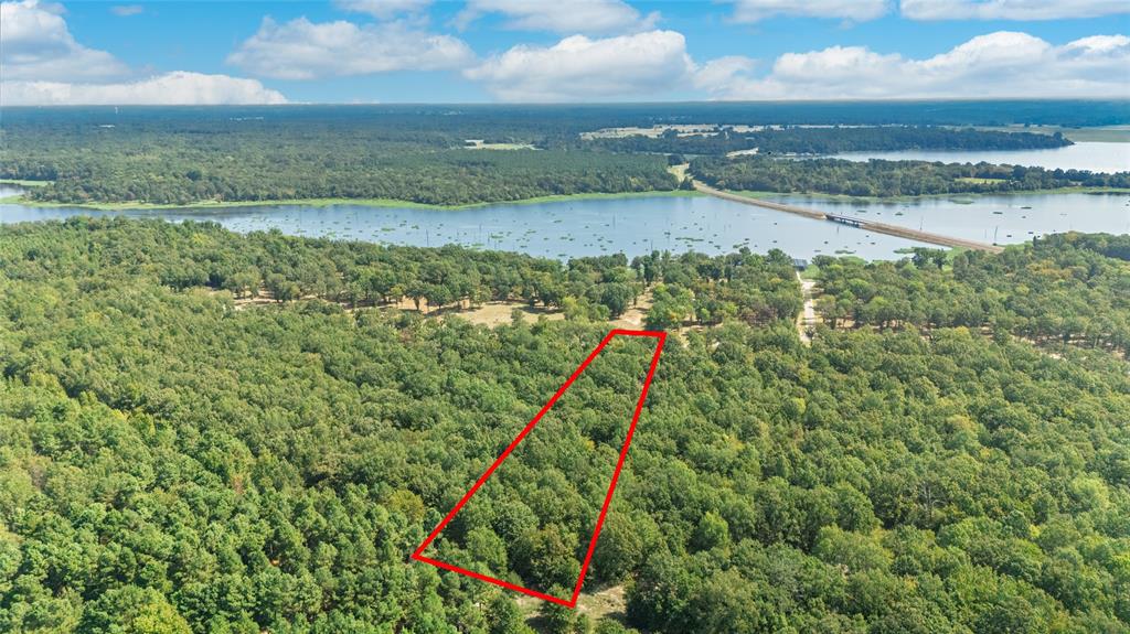 Angler Shores - Land