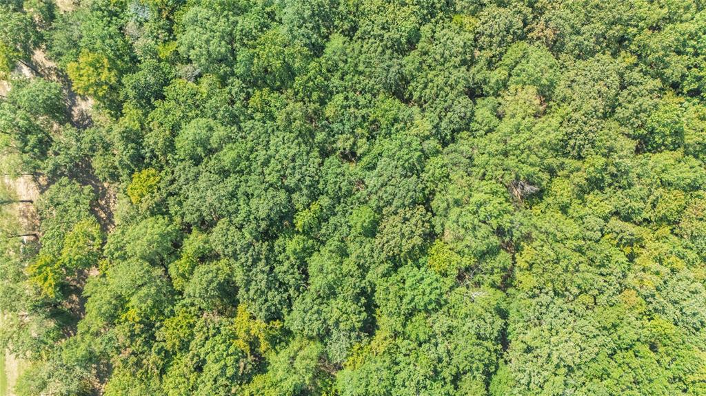 Angler Shores - Land