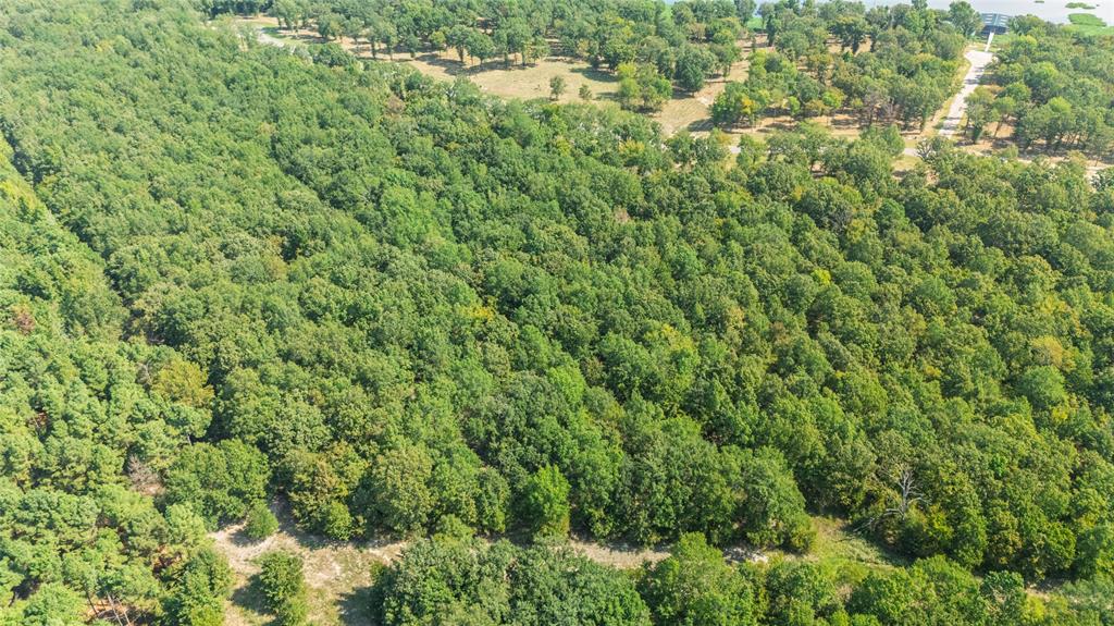 Angler Shores - Land