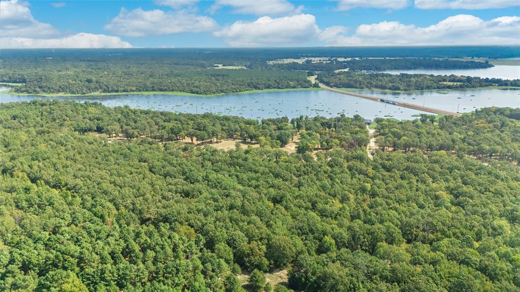 Angler Shores - Land