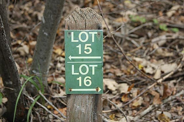 906 Sleepy Hollow Drive