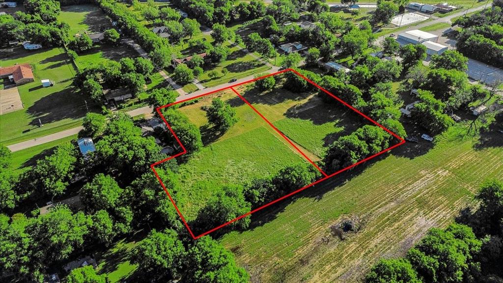 Cath T Bruce Sur Abs 93 - Land