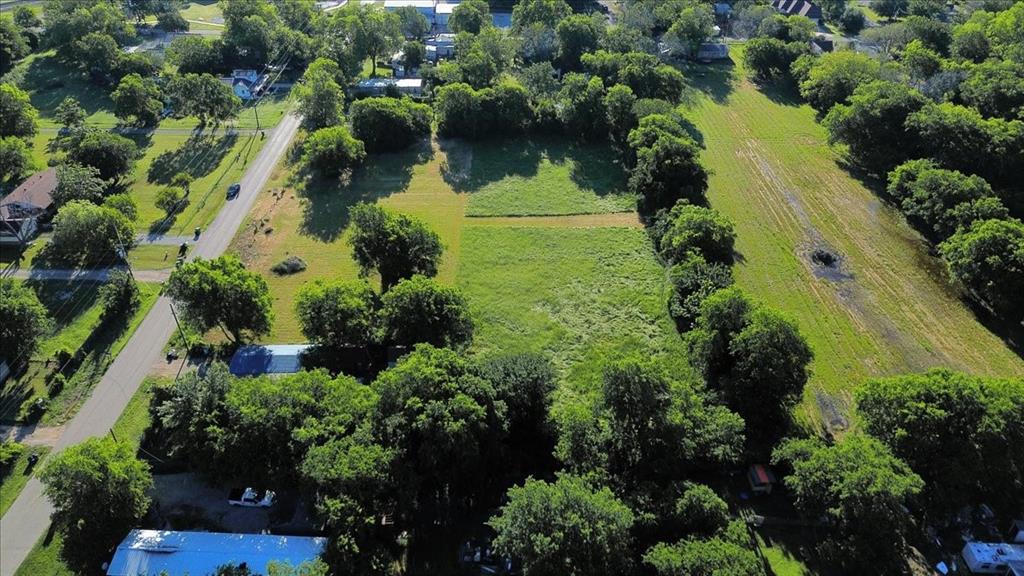 Cath T Bruce Sur Abs 93 - Land