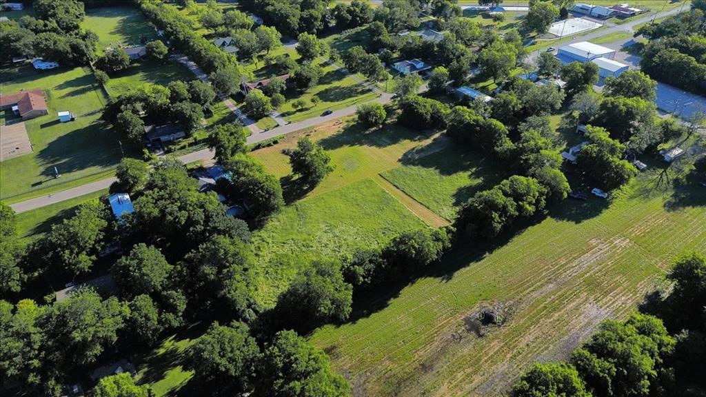 Cath T Bruce Sur Abs 93 - Land