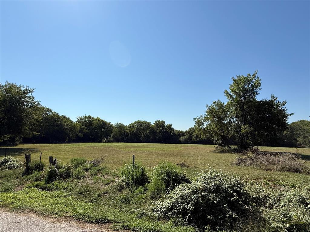 Cath T Bruce Sur Abs 93 - Land