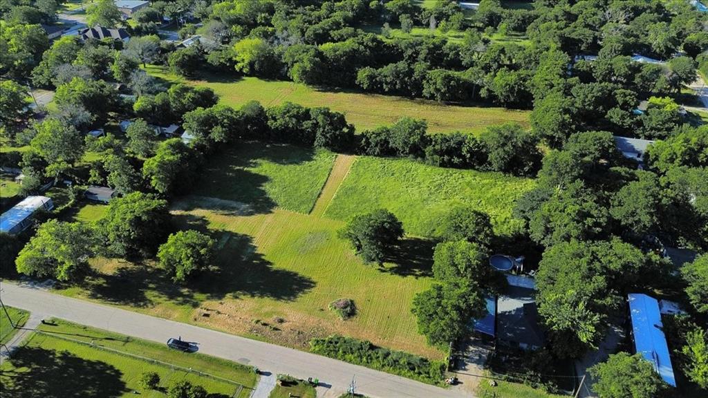 Cath T Bruce Sur Abs 93 - Land