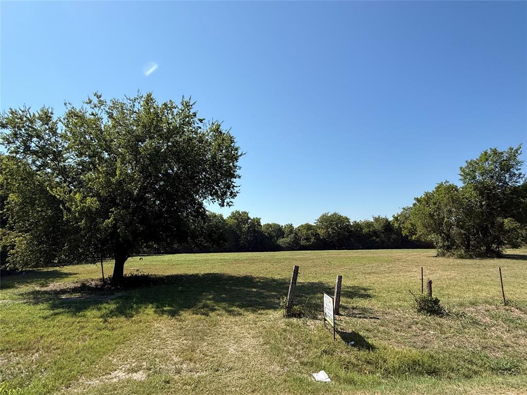 Cath T Bruce Sur Abs 93 - Land