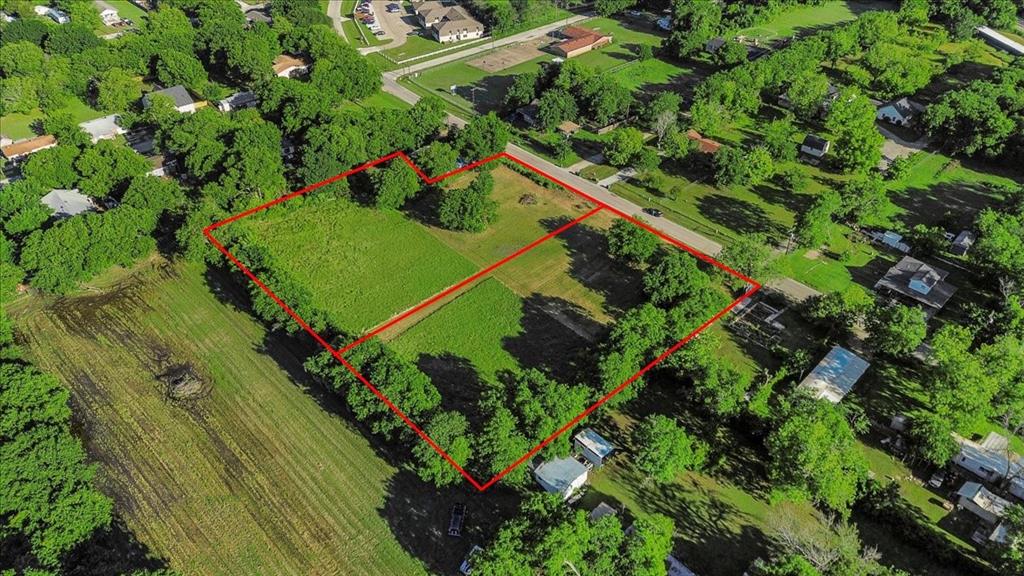 Cath T Bruce Sur Abs 93 - Land