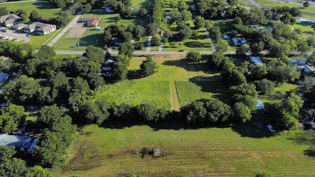 Cath T Bruce Sur Abs 93 - Land