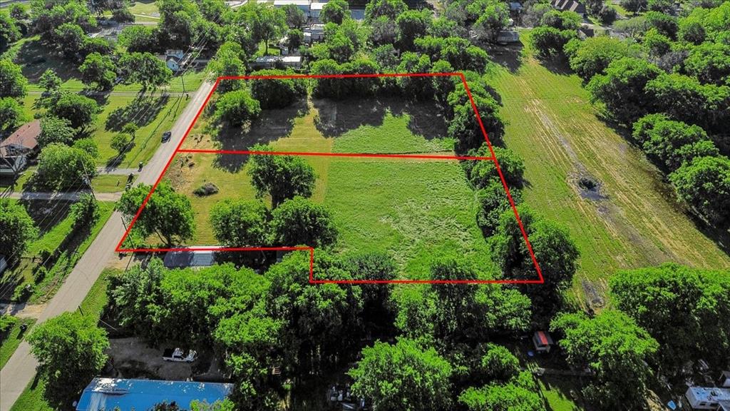 Cath T Bruce Sur Abs 93 - Land