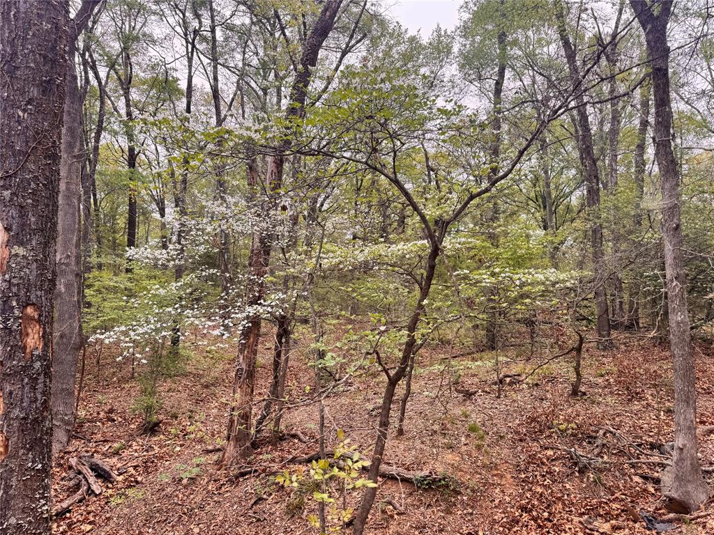 656 County Road 2680