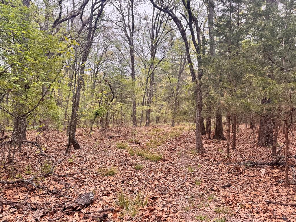 656 County Road 2680