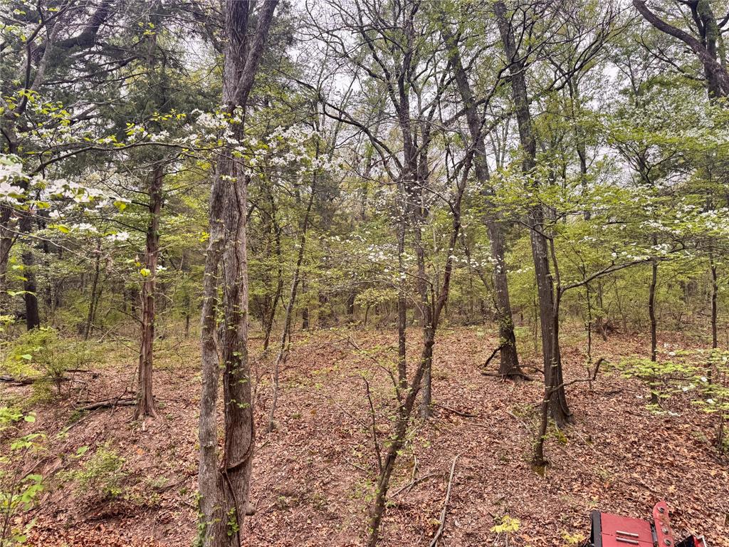 656 County Road 2680