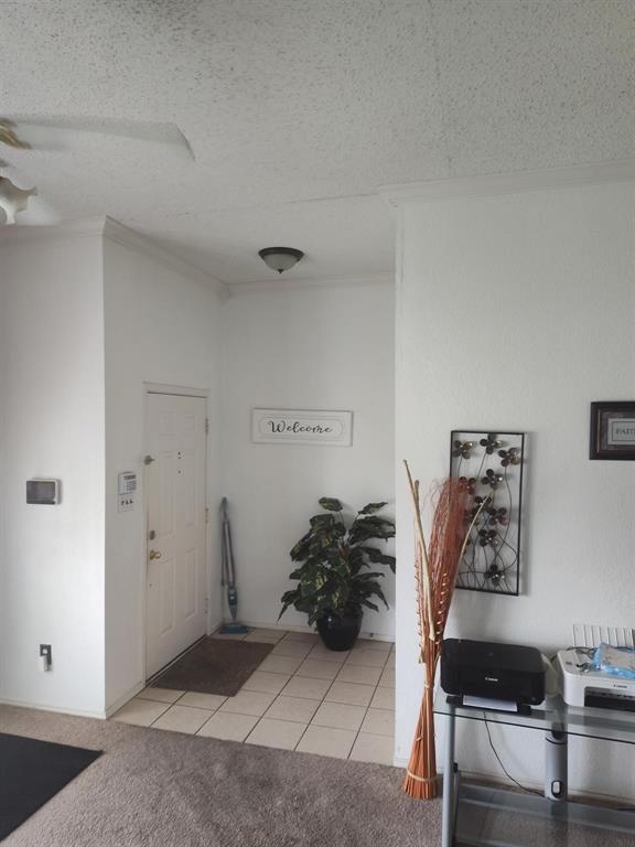 1908 Wild Valley Trail