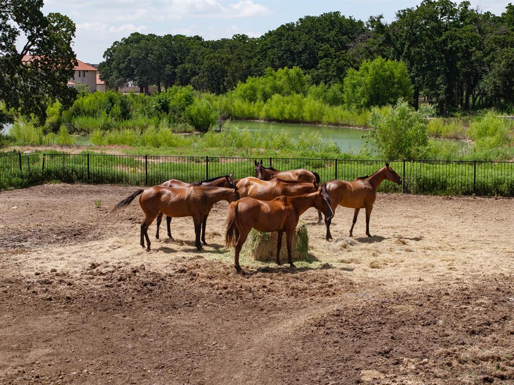 Prestonwood Polo & Country Club Addition - Land