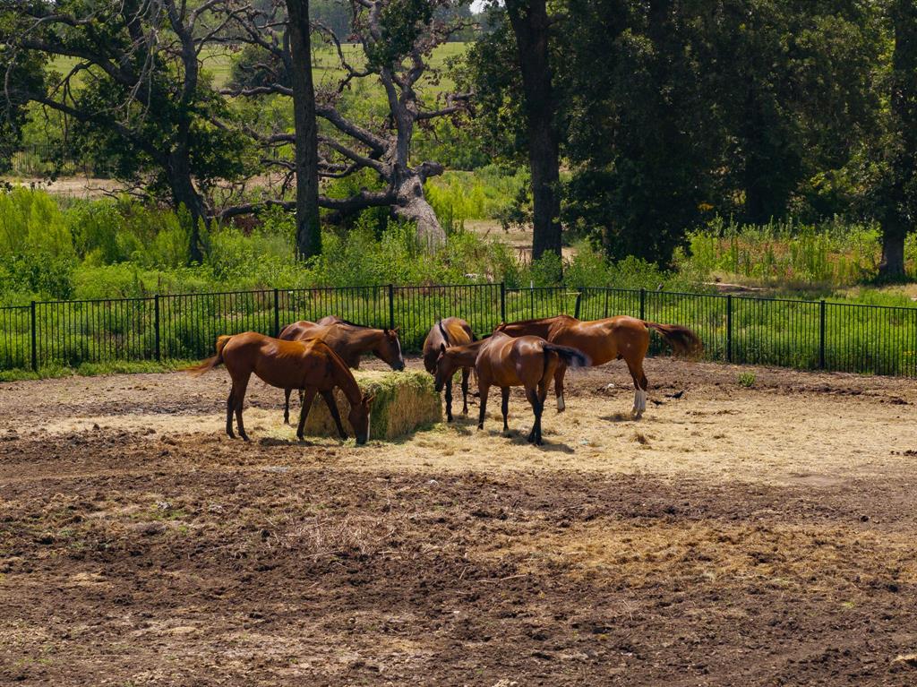 Prestonwood Polo & Country Club Addition - Land