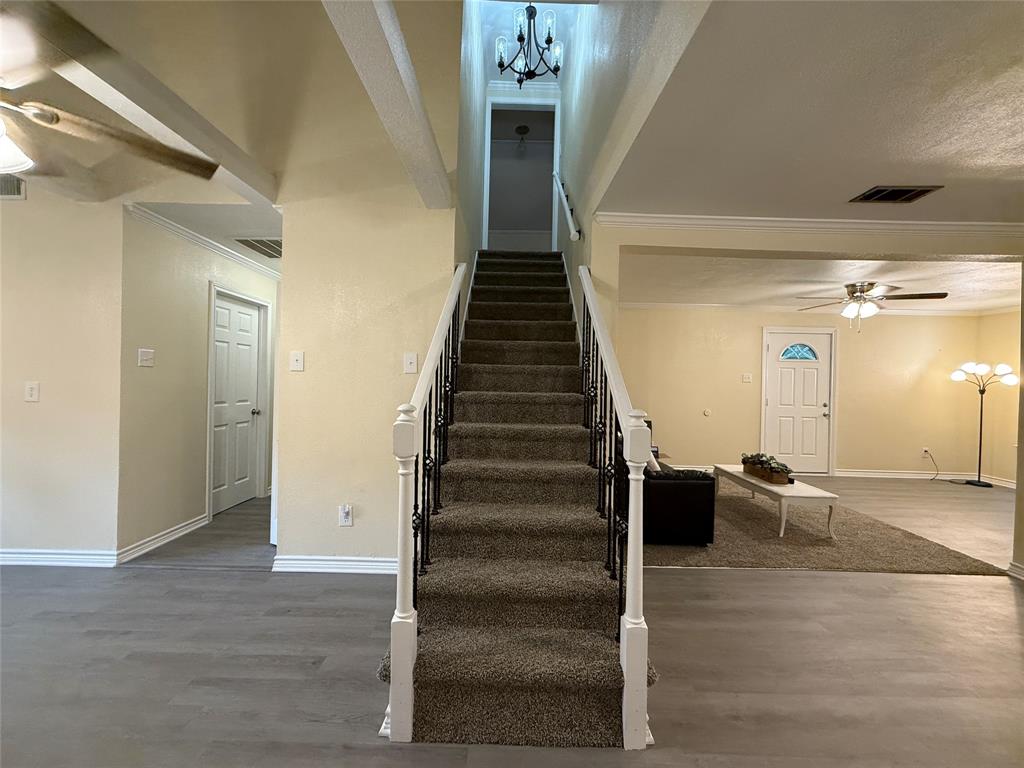 209 Trailwind Street