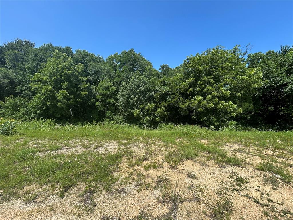 Cross Fence at Oak Vista - Land