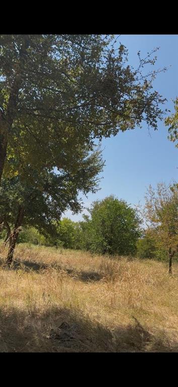 103235 Hillside Circle