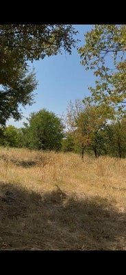 HILLSIDE CIR, LONE OAK, TX 75453 - Image 5fef8d27d34be29f9b2bdf2df4a6de1f/817688033