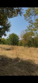 103235 Hillside Circle Lone Oak TX 75453