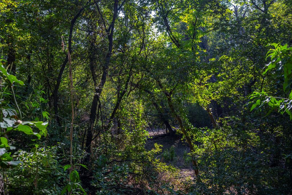 Weatherford, Texas 76088, United States, ,Land,Active,216001