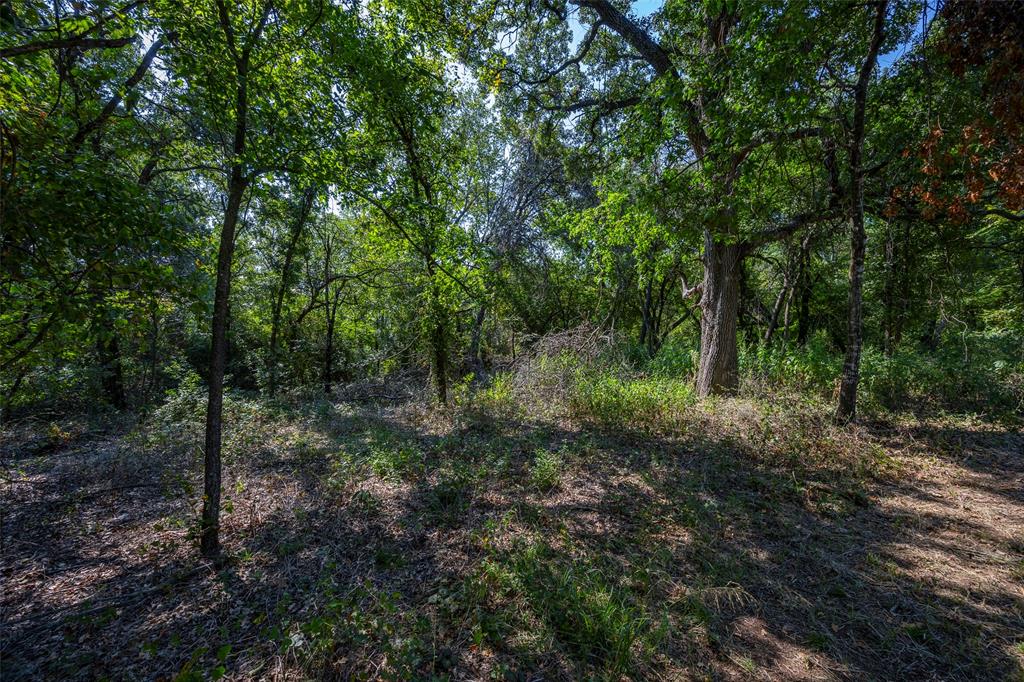 Weatherford, Texas 76088, United States, ,Land,Active,216001