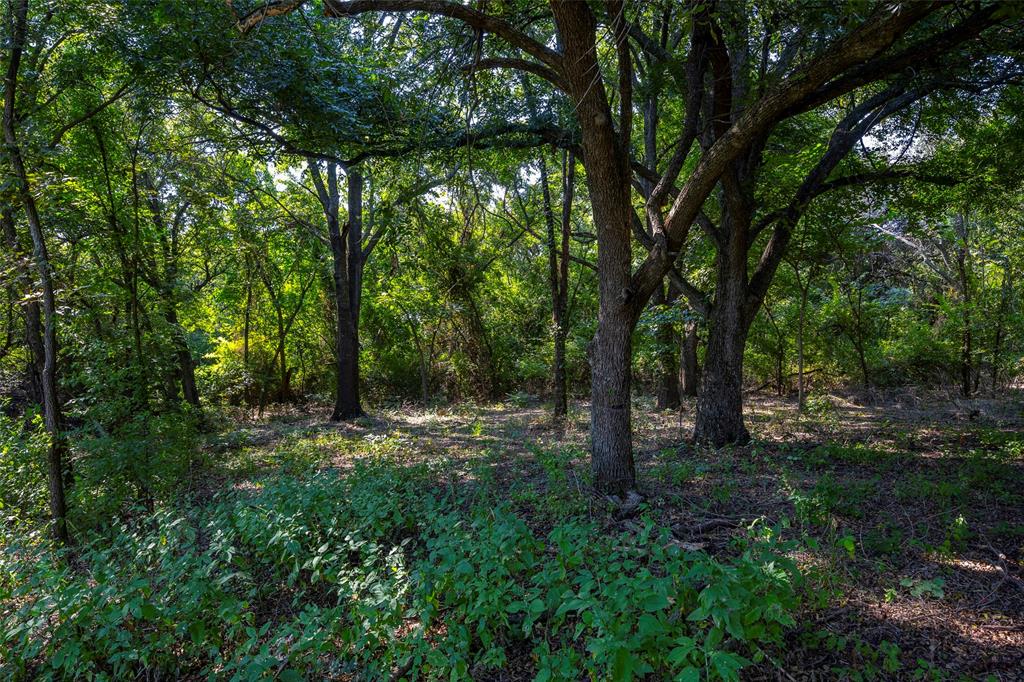 Weatherford, Texas 76088, United States, ,Land,Active,216001