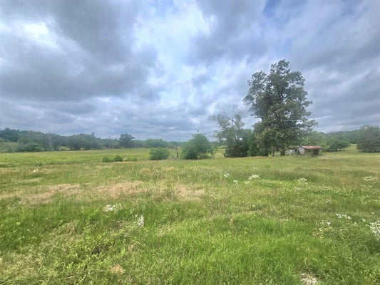 ARP DR, TROUP, TX 75789 - Image 603bb4deca1f8d37db9554a5c849f5af/3315787430