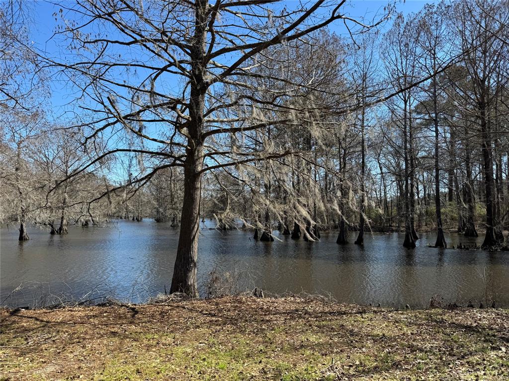 Cypress Isle Lake Estate - Residential