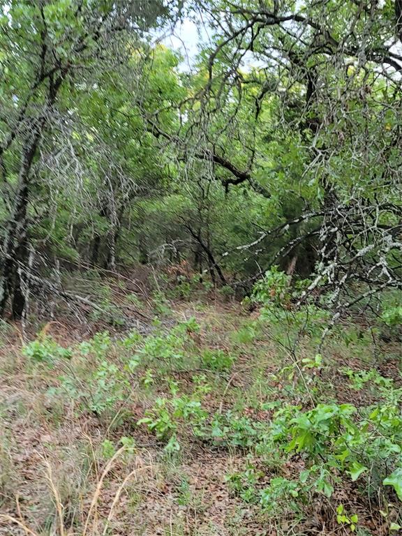 AJ Byars Survey ETRR Co Survey - Farm