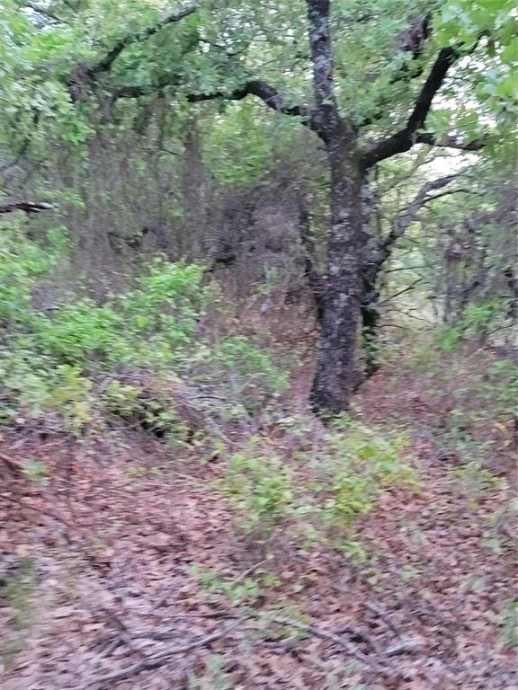 AJ Byars Survey ETRR Co Survey - Farm