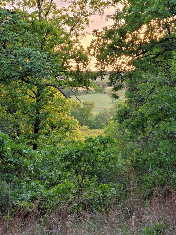 AJ Byars Survey ETRR Co Survey - Farm