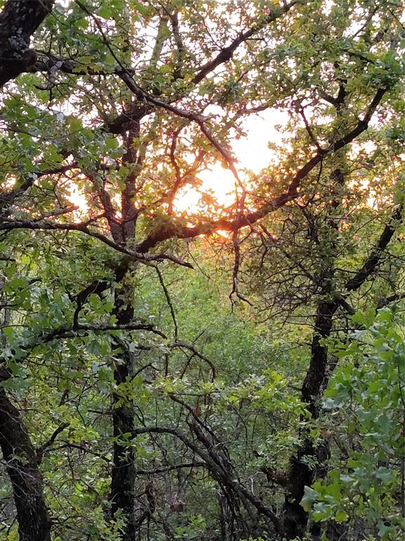 AJ Byars Survey ETRR Co Survey - Farm