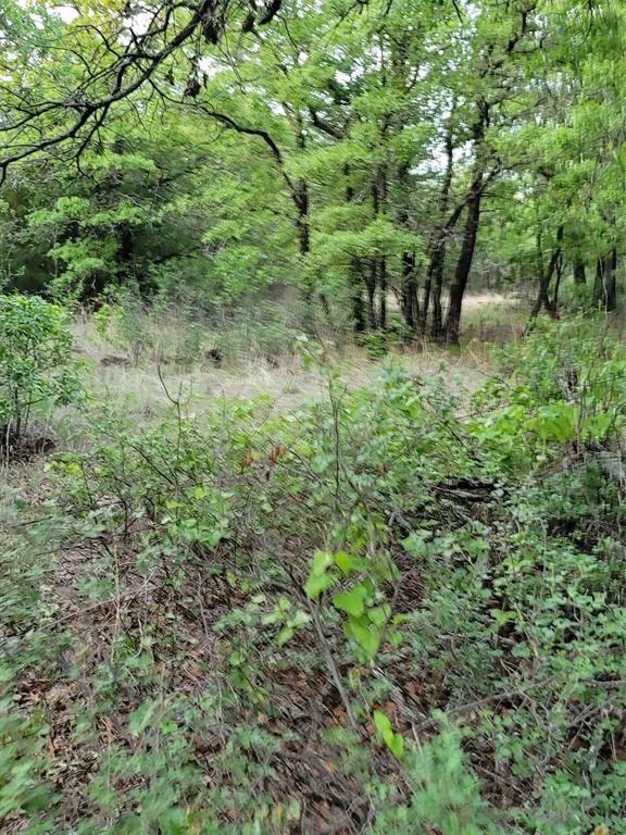 AJ Byars Survey ETRR Co Survey - Farm