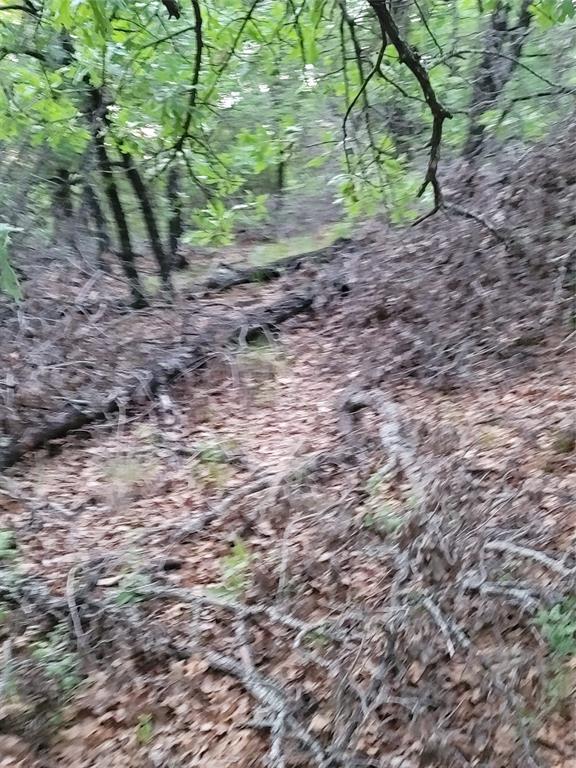 AJ Byars Survey ETRR Co Survey - Farm