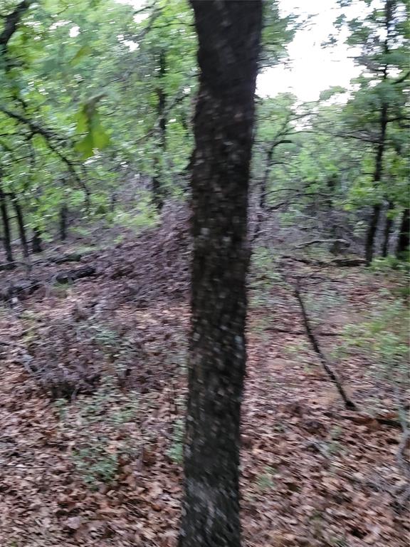 AJ Byars Survey ETRR Co Survey - Farm