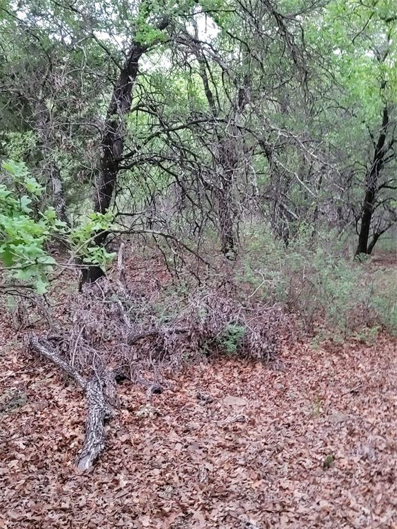 AJ Byars Survey ETRR Co Survey - Farm