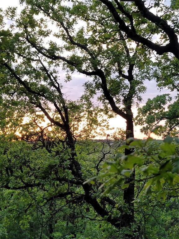 AJ Byars Survey ETRR Co Survey - Farm