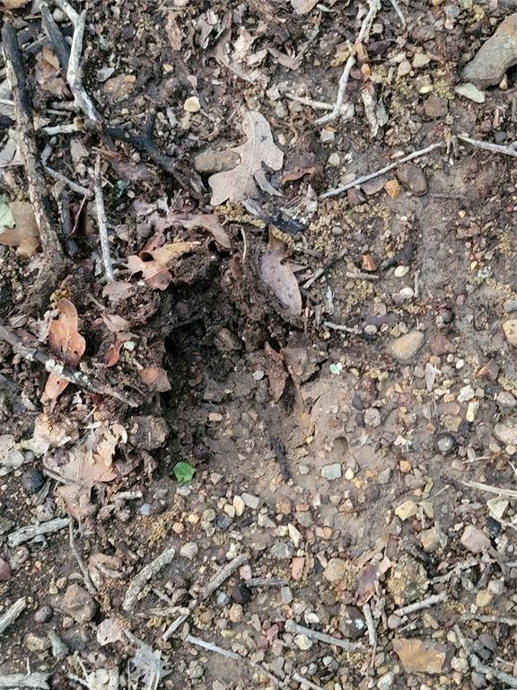 AJ Byars Survey ETRR Co Survey - Farm