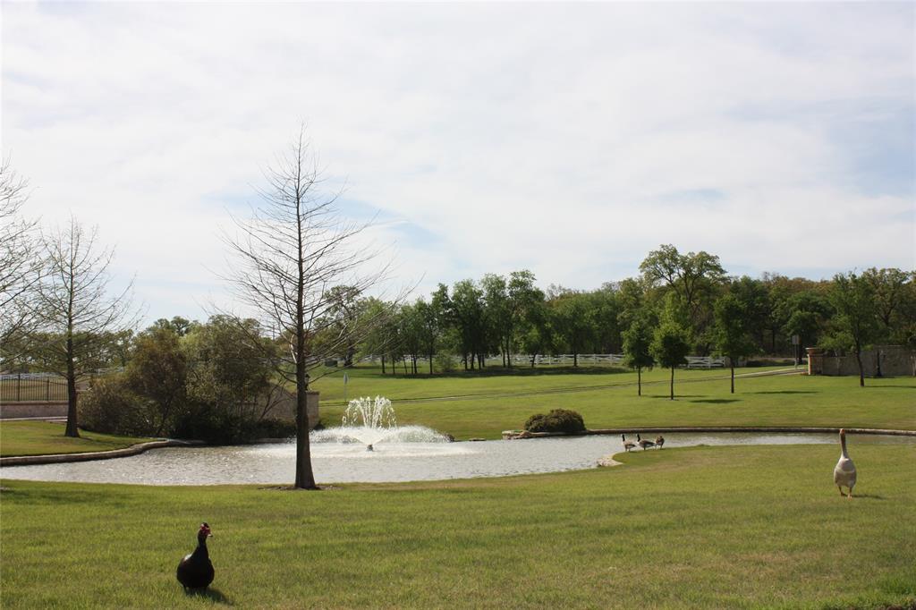 Argyle, Texas 76226, United States, 5 Bedrooms Bedrooms, ,3 BathroomsBathrooms,Residential,Active,99591