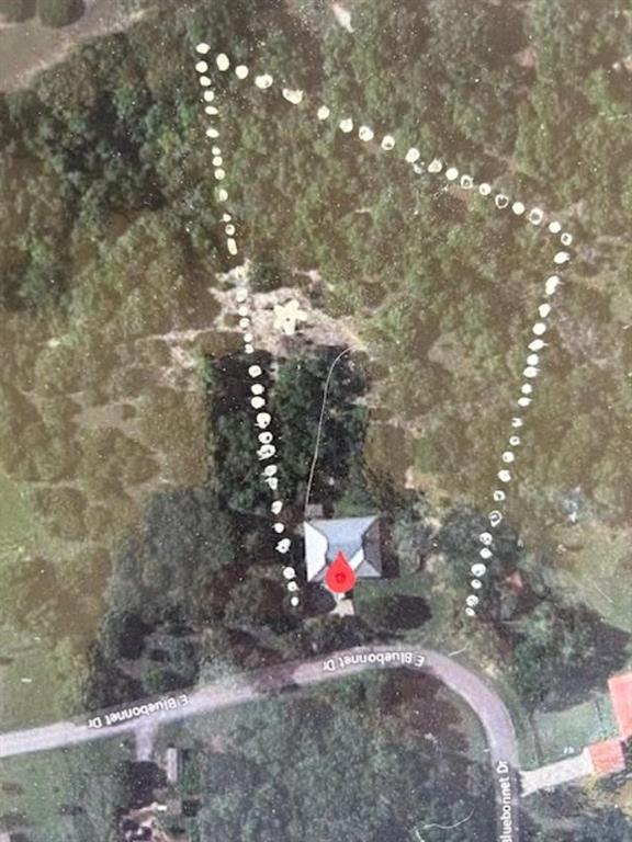 208 E Bluebonnet Drive
