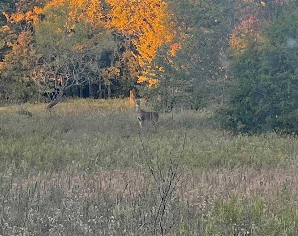 350 Indian Camp Road