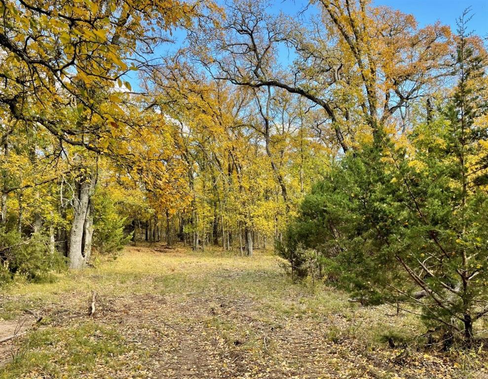 350 Indian Camp Road