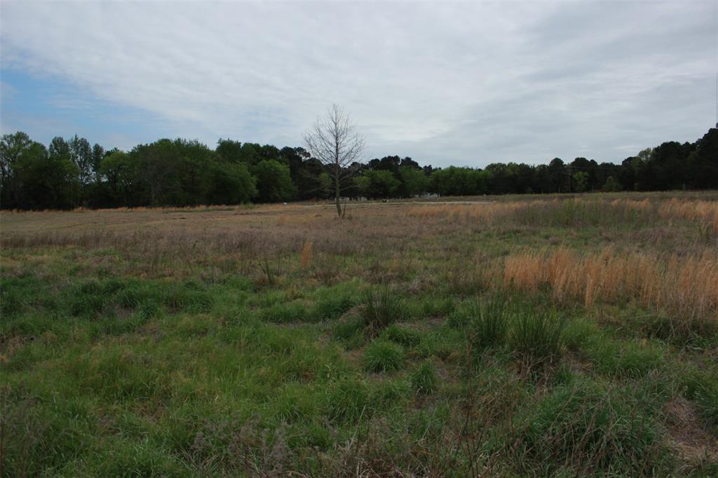 South Shore at Lake Bob Sandlin - Land