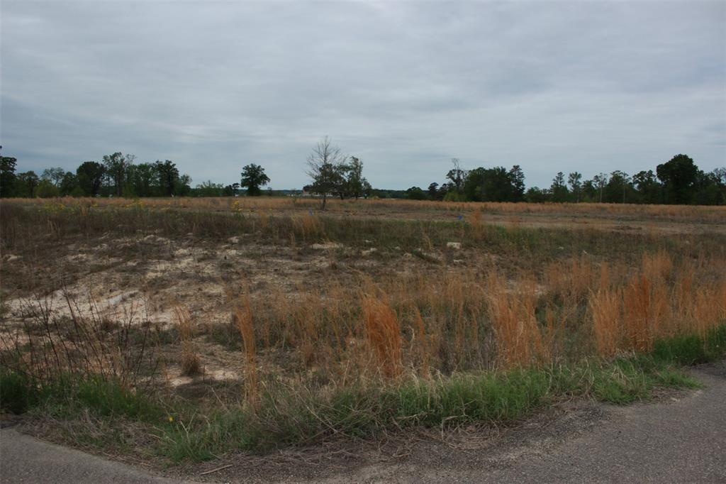 South Shore at Lake Bob Sandlin - Land