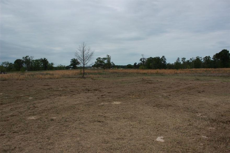 Build your dream home on Lot 54 in South Shores at Lake Bob Sandlin! This ~1.18-acre corner lot offers added privacy and flexibility for your custom build. Located in a well-maintained community with paved roads, underground utilities, and protective covenants. Enjoy peaceful surroundings just minutes from Lake Bob Sandlin for boating, fishing, and recreation. Great opportunity to build now or invest for the future!