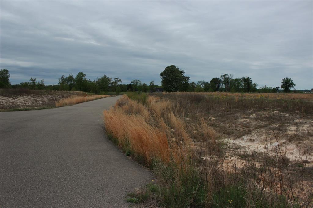 South Shore at Lake Bob Sandlin - Land