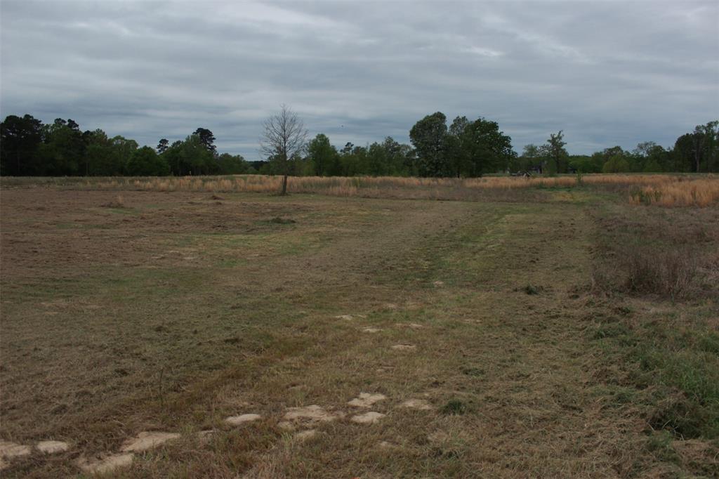 South Shore at Lake Bob Sandlin - Land